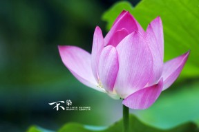 华体会app注册-青少年体育培训效果评估，青少年体育培训的重要性