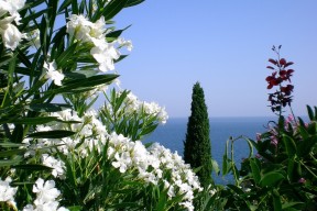 华体会app安装-世界杯球员心理辅导案例分享