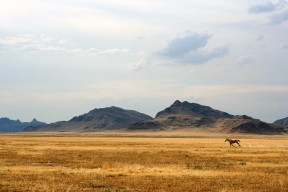 华体会登录入口-中国足球俱乐部与高校合作共建青训基地，中国足球青训营