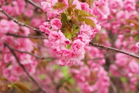 华体会登陆-中国足球是否缺少稳定的战术核心，中国足球弱的根本原因