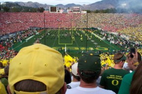 华体会app下载-“阿根廷美洲狮队：橄榄球冠军锦标赛的强力黑马”