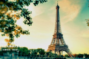 华体会app注册-杰克·阿莱克西决赛表现成为焦点话题，杰克 克莱娜