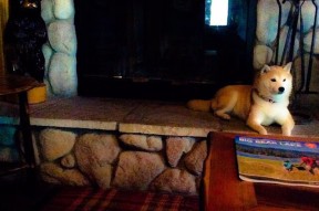 -丁俊晖开球仪式上笑容满面，丁俊晖笑的那一场比赛