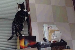 华体会app下载-中下游球队是否更倾向于追求效率优先打法，中下游地区有哪些