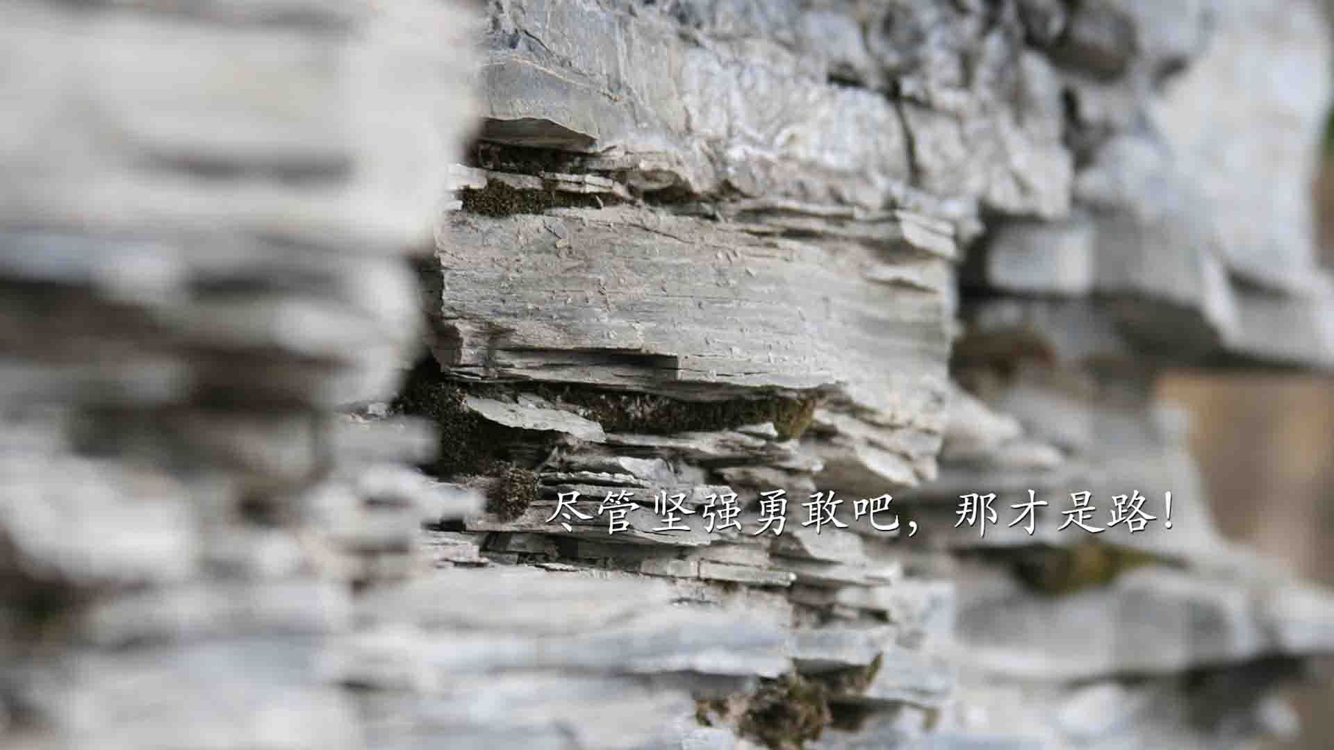欧洲超级联赛：夺冠热门球队的战前统计分析，欧洲超级联赛队伍
