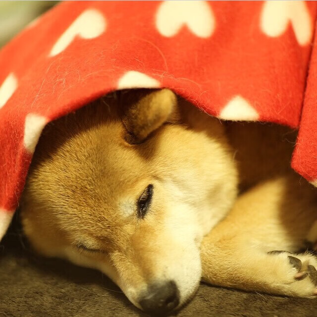 西甲球队赛季后期使用HRV指标动态调整轮换强度分析,西甲换人规则