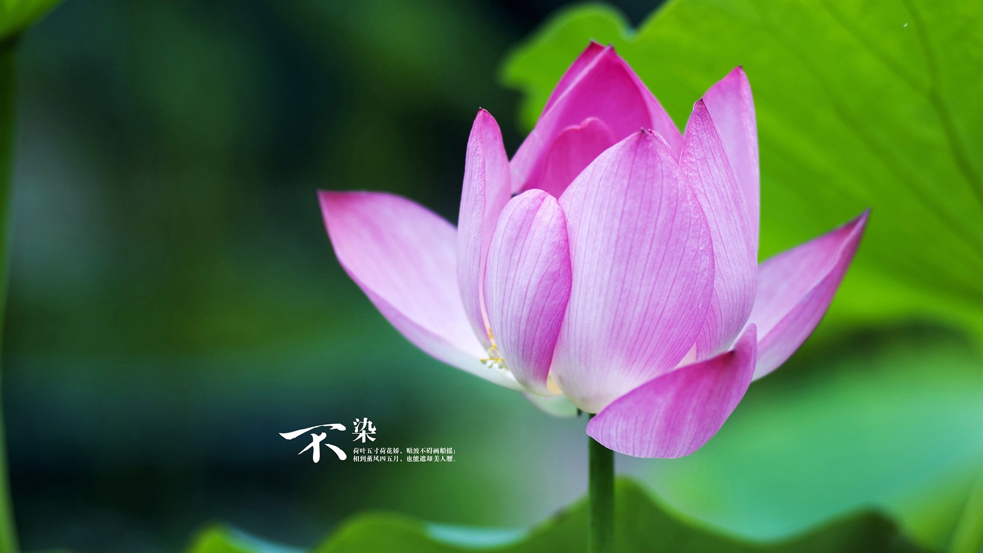 青少年体育培训效果评估,青少年体育培训的重要性