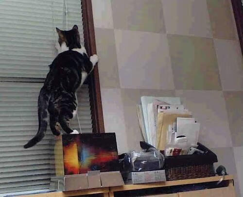 中下游球队是否更倾向于追求效率优先打法,中下游地区有哪些