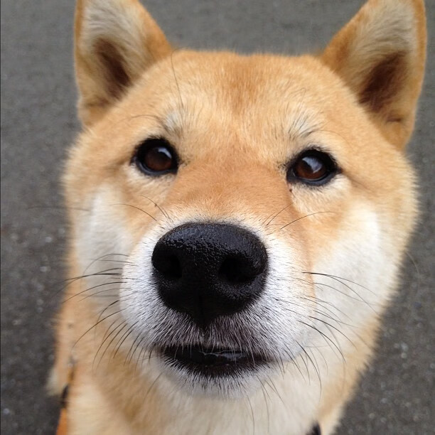 中国女篮提升内线轮转速度,中国女篮提升内线轮转速度最新消息