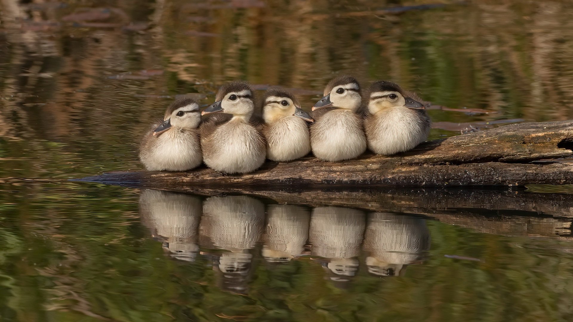 中国男篮强化球员间的非语言配合能力,中国男篮队内训练