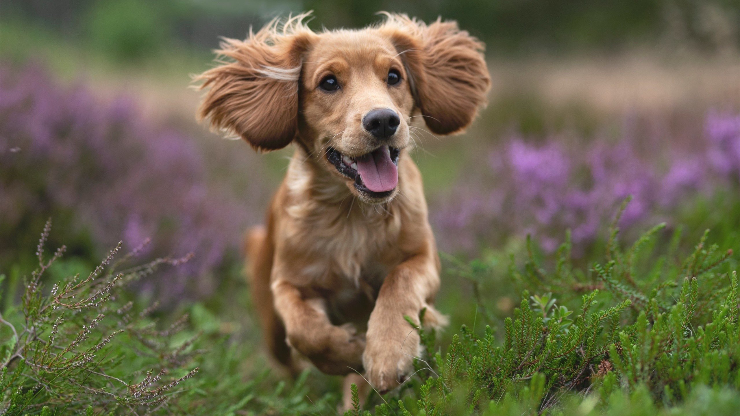 浙江雄狮精准抢断转化得分打出节奏篮球,浙江雄狮杯业有限公司
