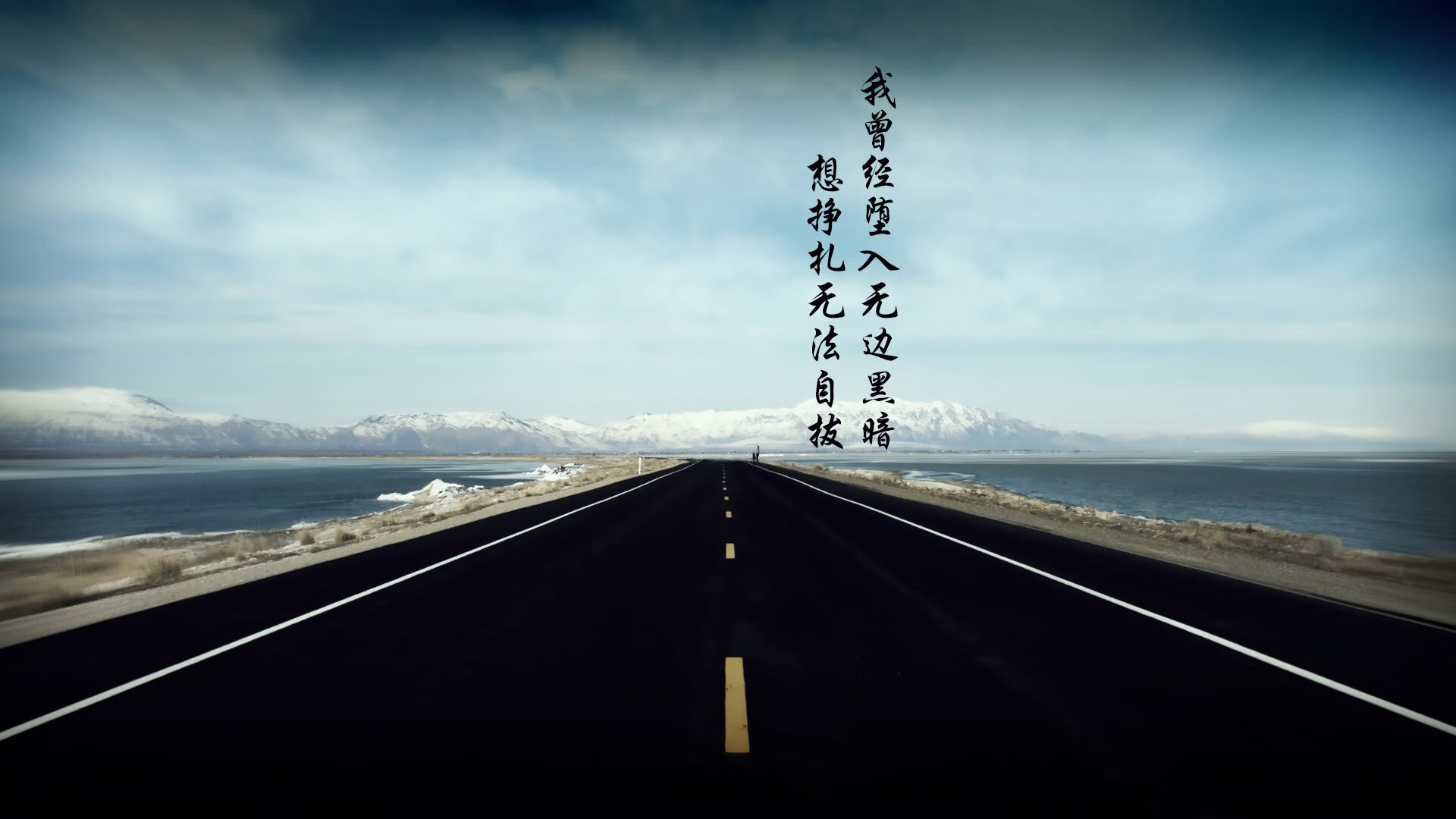 赛事数据解读选手竞技状态,选手锦标赛