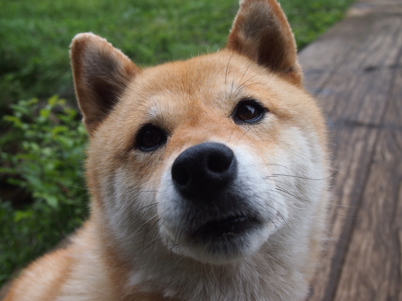 世界杯巅峰夜:激情无限,经典不断!,世界杯超燃视频