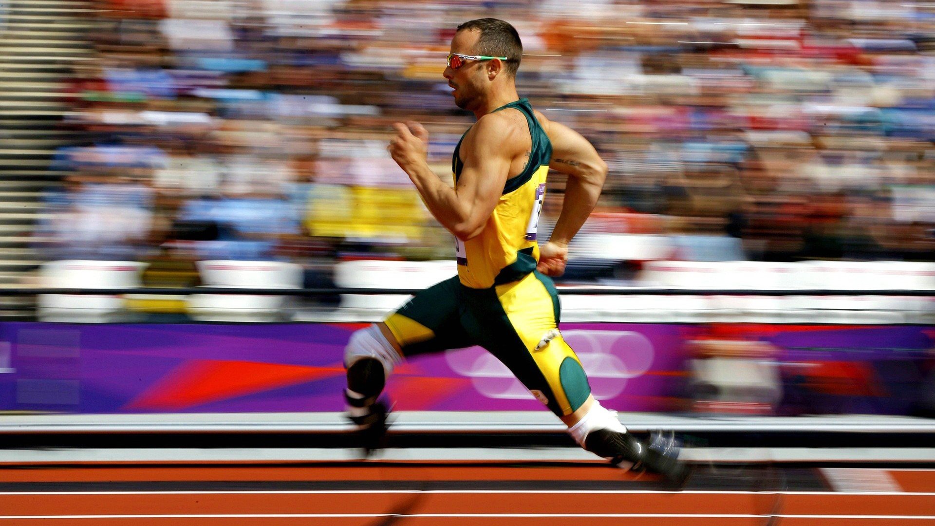 体育新闻中心团队协作亮点,体育新闻中心团队协作亮点怎么写