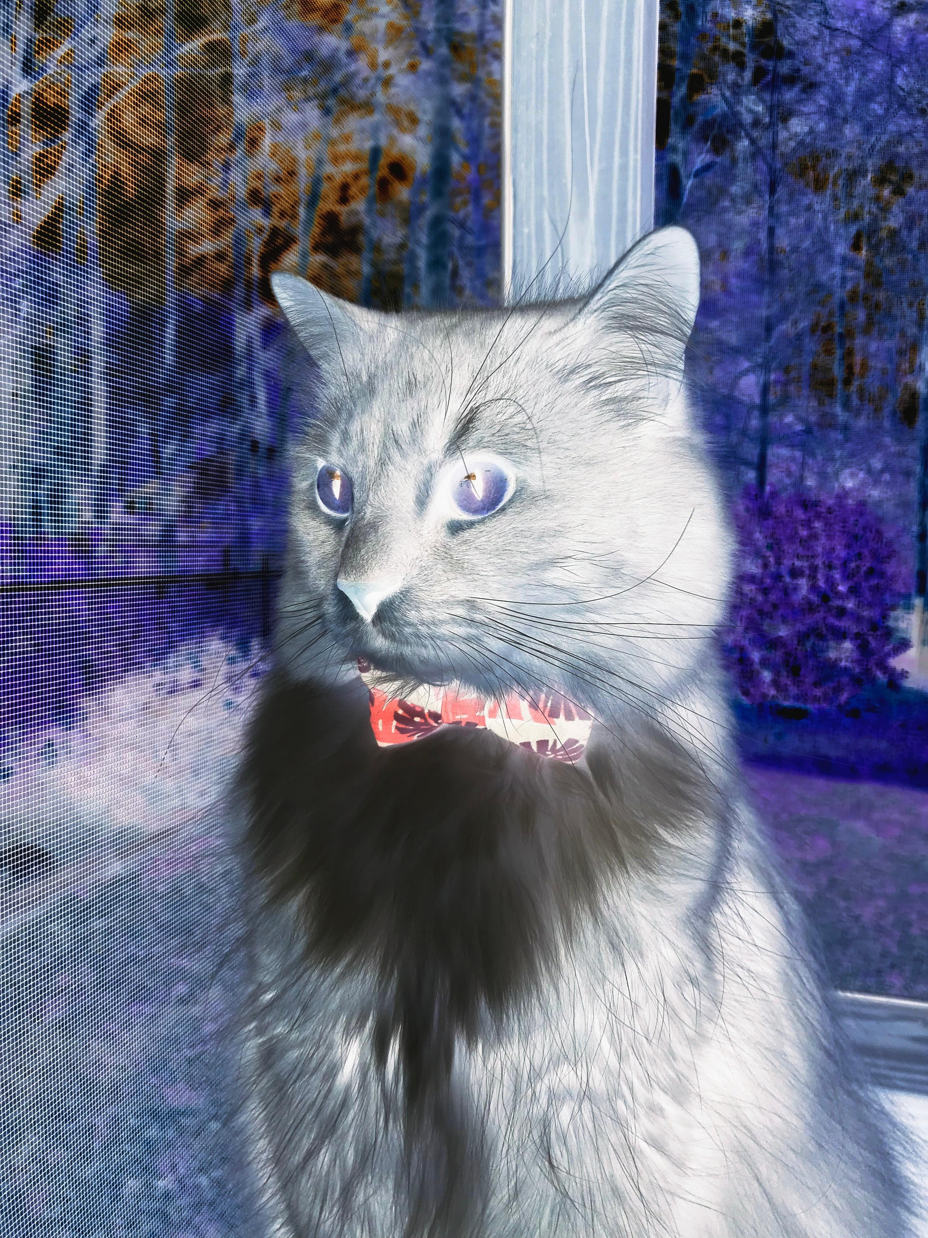 库里与球迷合影耐心十足获点赞,库里跟谁组合