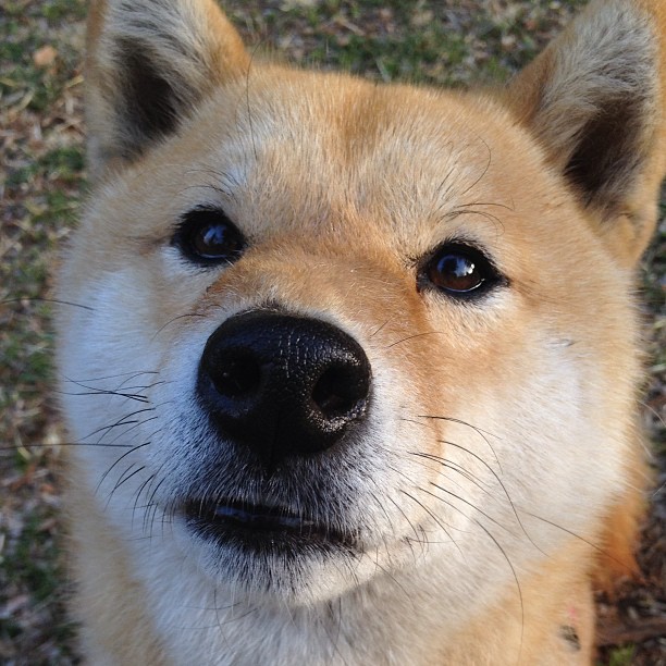 杰克·阿莱克西决赛表现成为焦点话题,杰克 克莱娜