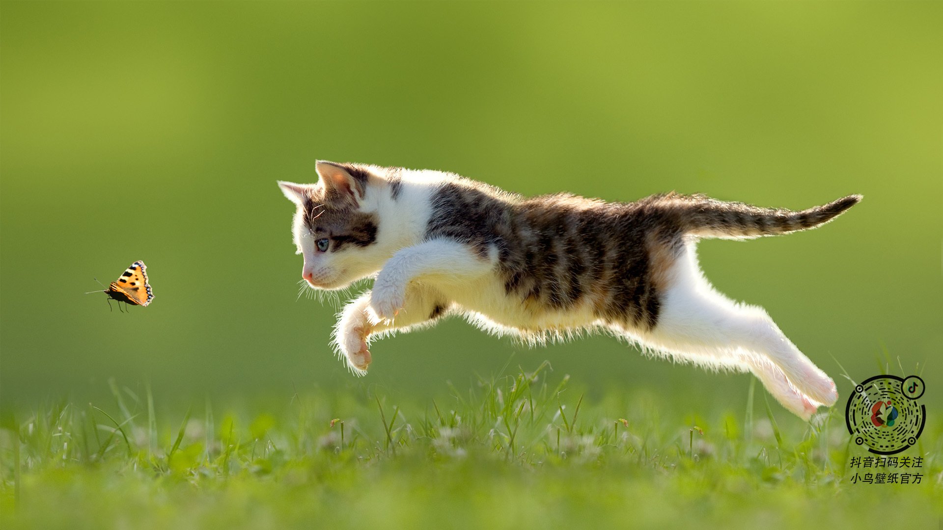 维尔·冯·威克:充分发挥体能优势,攻破对方防线为南非队创造机会