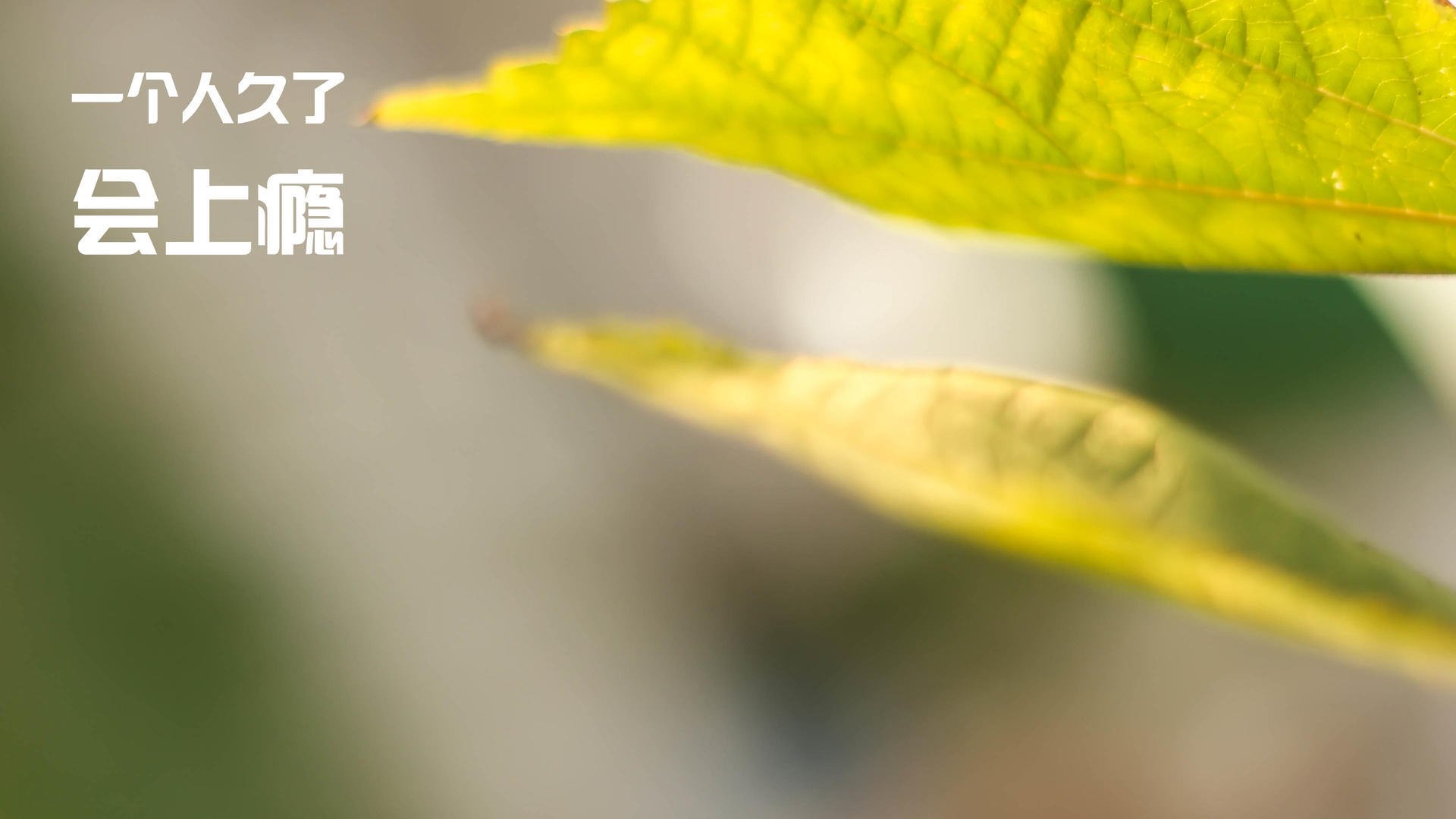 足球转会市场火热，巨星频繁换东家，足球转会官宣