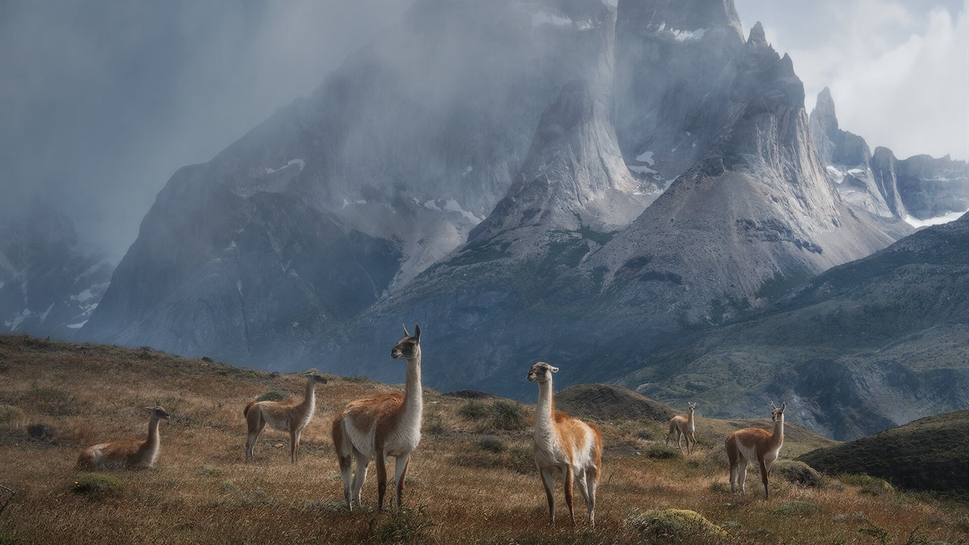 CBA公司与篮协新授权周期将至，拟再签5年、每年缴费1亿，cba篮球公司