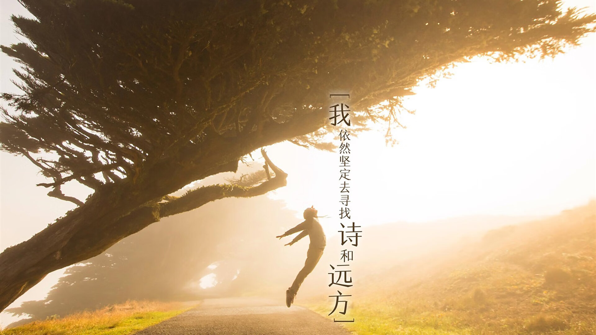 一日英超动态：斯洛特获胜但心情复杂，VAR到底公平吗？